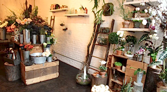 Discover Unique Bouquets at Local Sunshine Coast Flower Shops