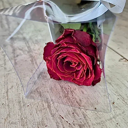 Single rose  premium wrapped