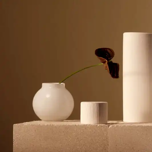 vase and flower