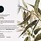 Native Delight - Greeting Card