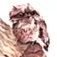 Tawny Frogmouth - Greeting Card