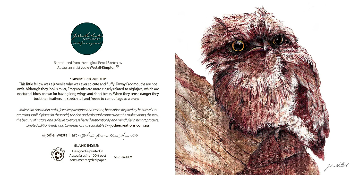 Tawny Frogmouth - Greeting Card
