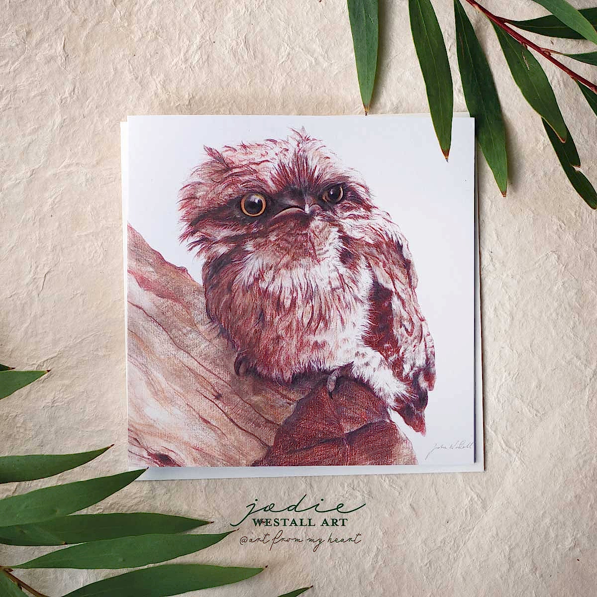 Tawny Frogmouth - Greeting Card