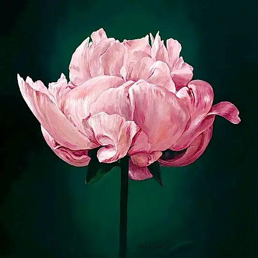 Hope Peony - Peony Flower Greeting Card