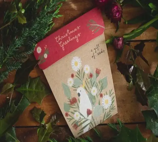 christmas seed card