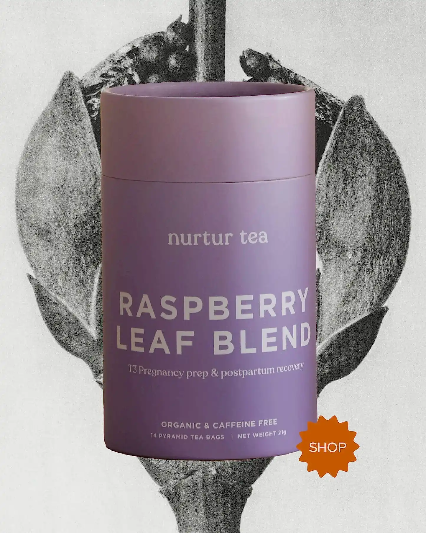 Red Raspberry Leaf Tea