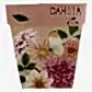 dahlia seed card