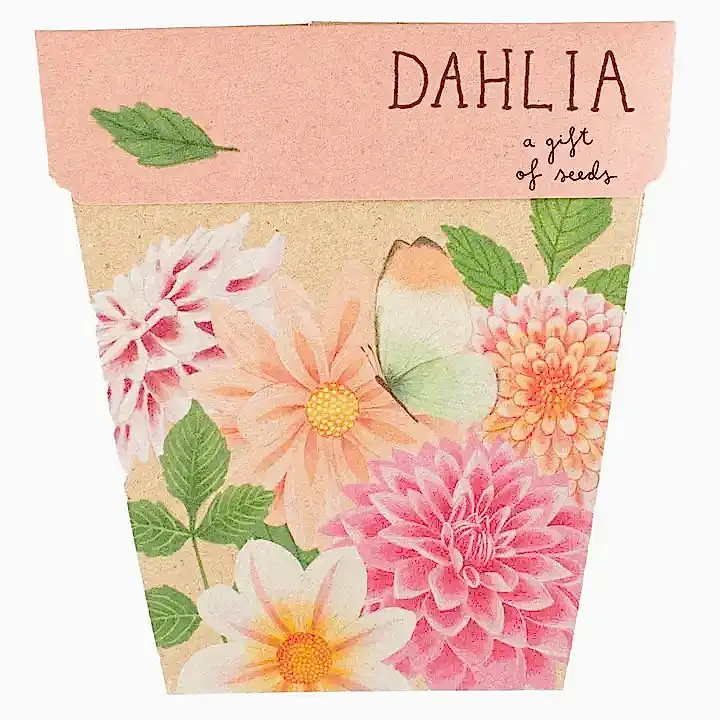 dahlia seed card