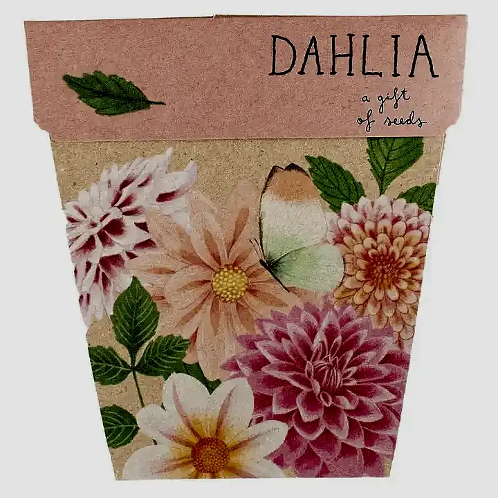 dahlia seed card