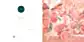 Tropical Paradise - Greeting Card
