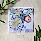 Banksia Delight - Greeting Card