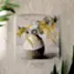 'Pot of Gold' Australian Wattle - Greeting card