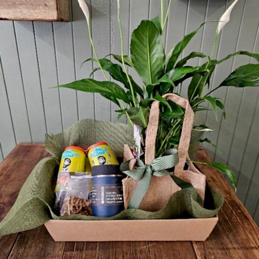 Male hamper
