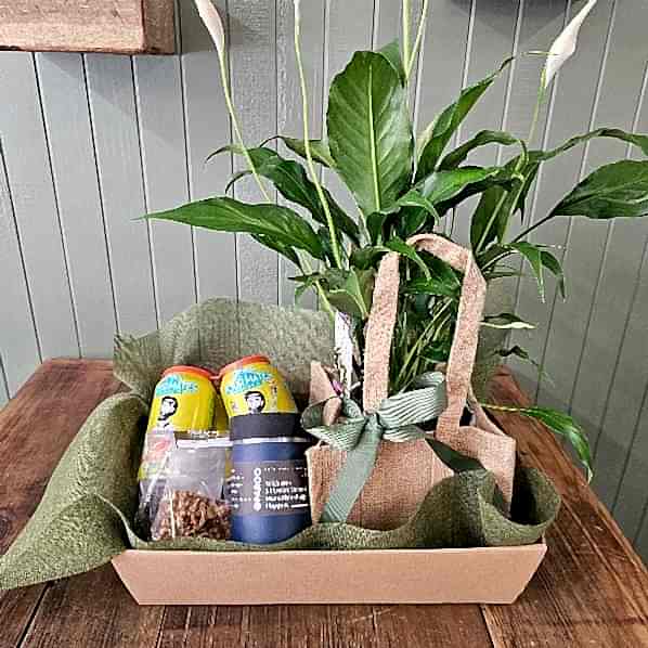 Male hamper
