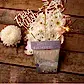 happy birthday seed card