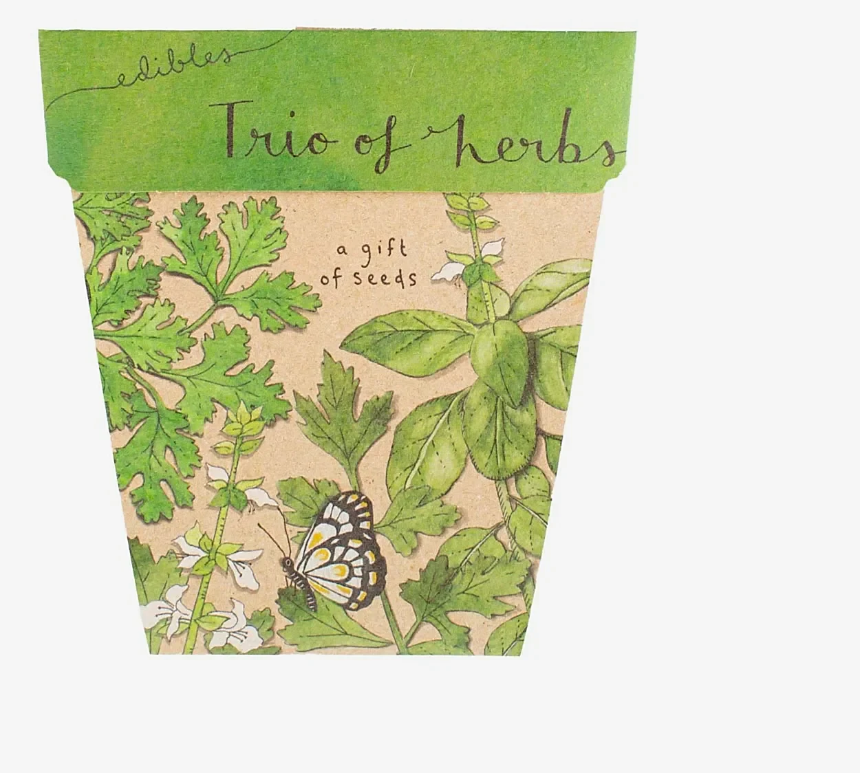 trio of herbs cards