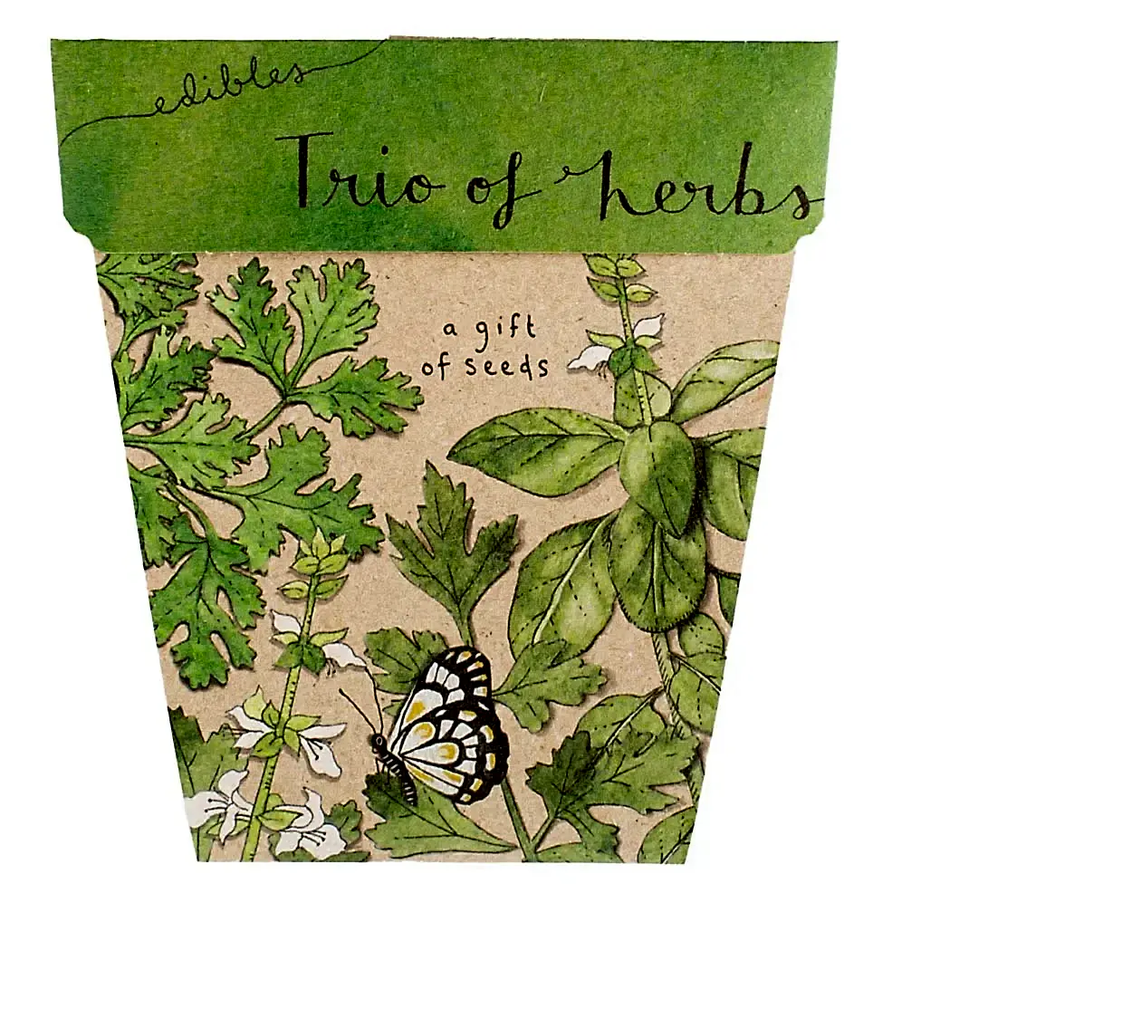 trio of herbs cards