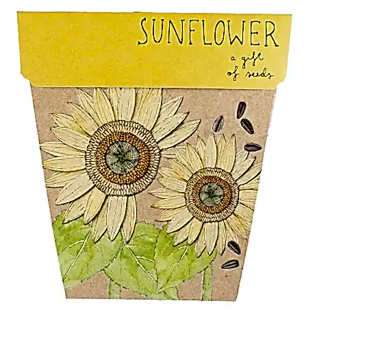 sunflower seed card