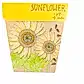 sunflower seed card