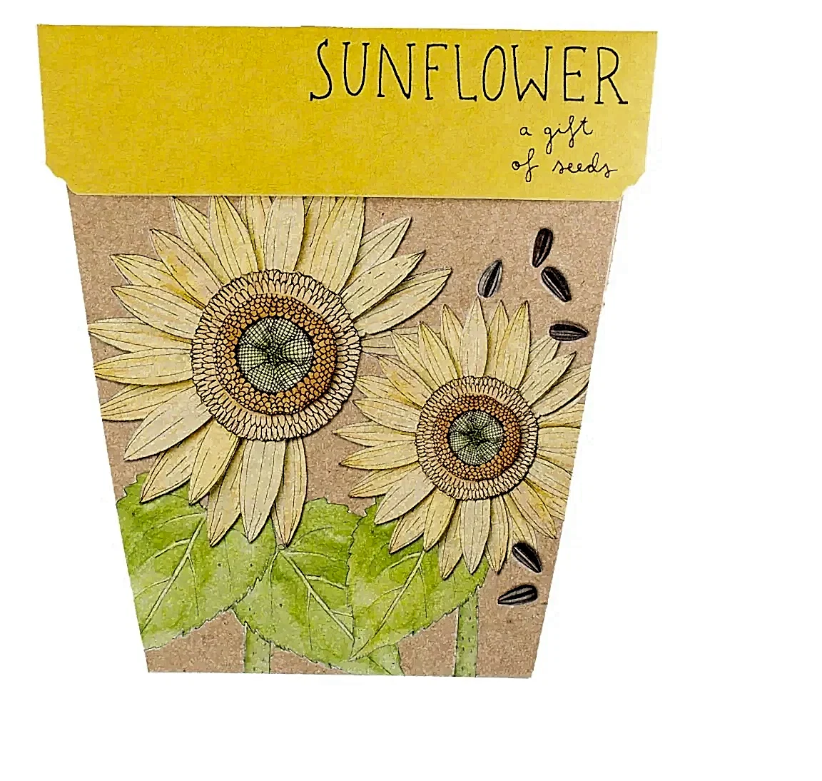 sunflower seed card