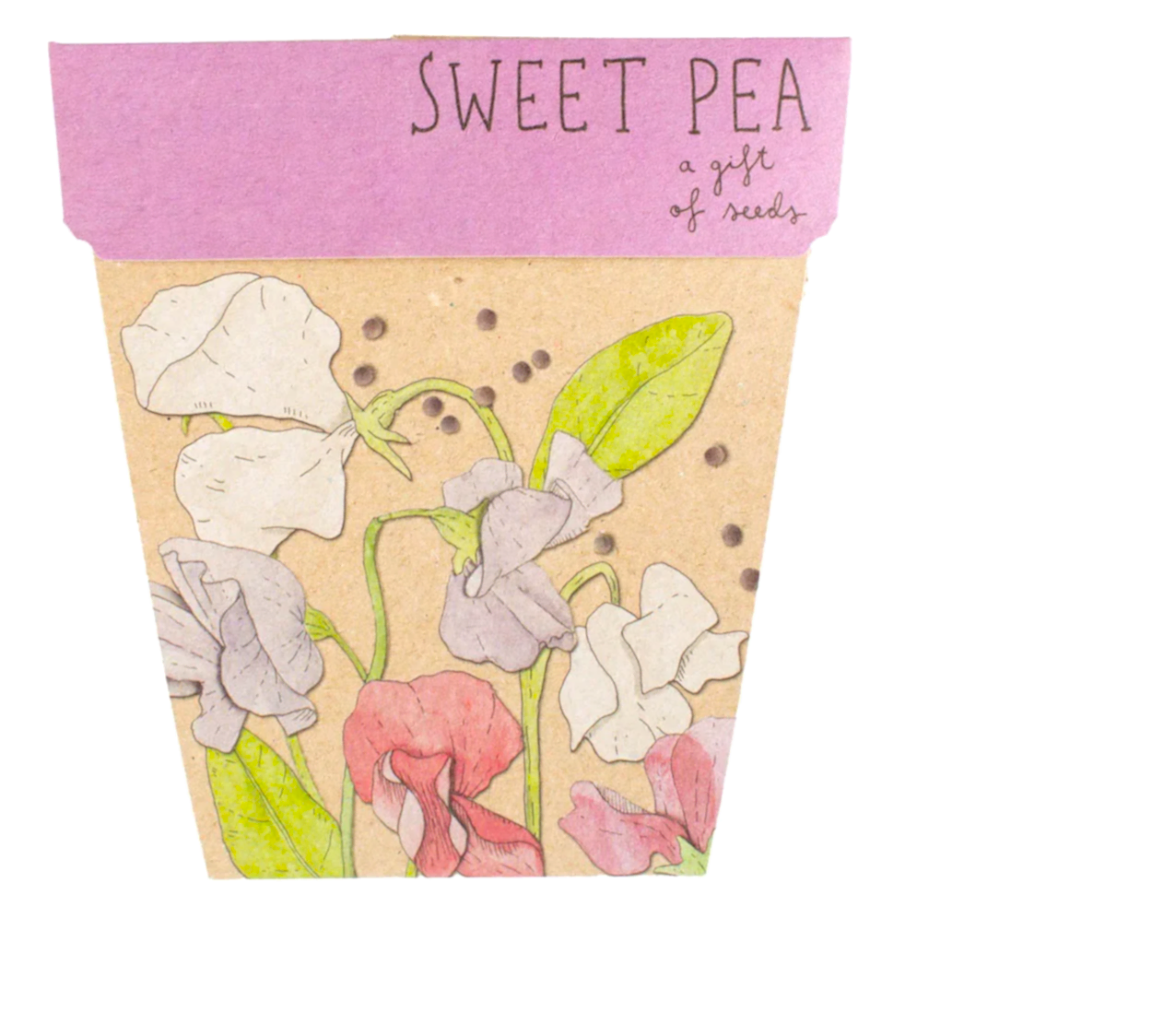 sweet pea seed card